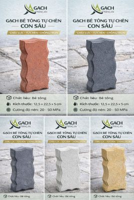 GẠCH TỰ CHÈN CON SÂU