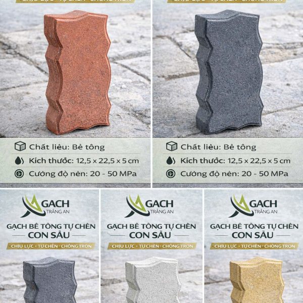 GẠCH TỰ CHÈN CON SÂU