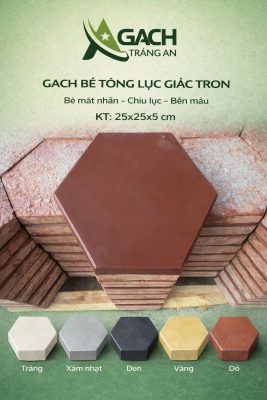 GẠCH LỤC GIÁC TỤ CHÈN 