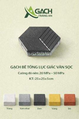 gạch tự chèn lục giác