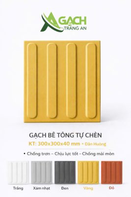 GẠCH DẪN HƯỚNG 