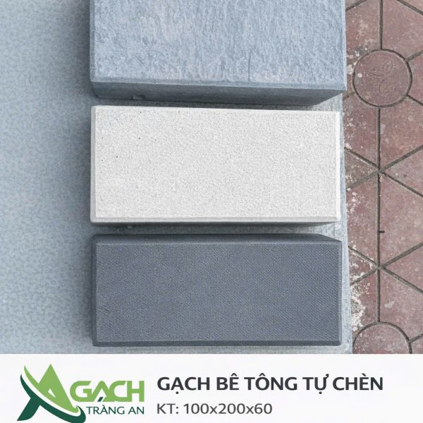 GẠCH BT CƯỜNG ĐỘN CAO
