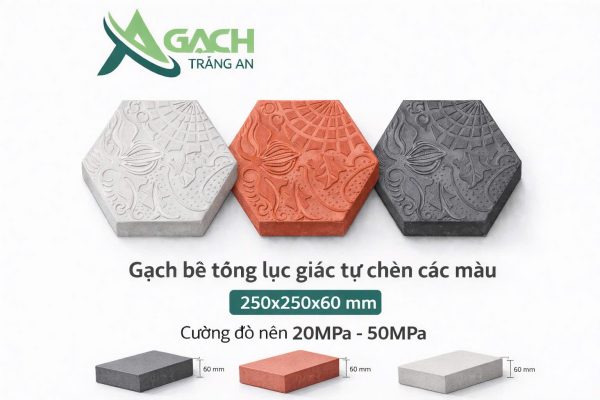GẠCH LỤC GIÁC TỰ CHÈN