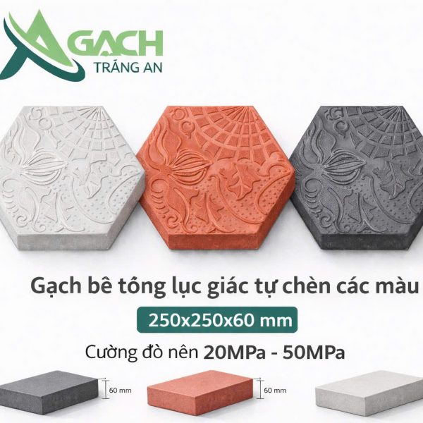 GẠCH LỤC GIÁC TỰ CHÈN