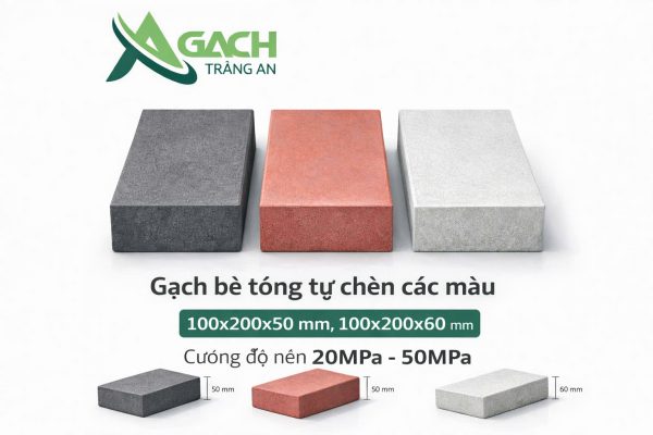 Gạch bê tông tự chèn 