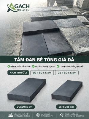 TẤM ĐAN BÊ TÔNG GIẢ ĐÁ