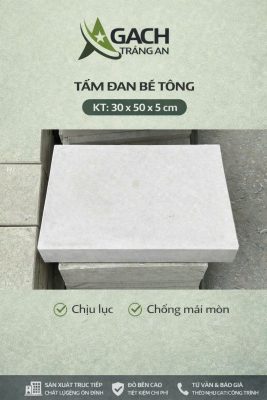 TÂM ĐAN BÊ TÔNG