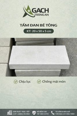 TẤM ĐAN BÊ TÔNG 