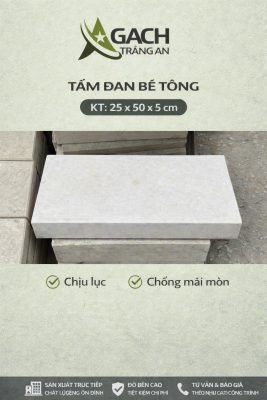 TẤM ĐAN BÊ TÔNG