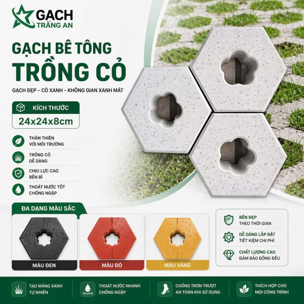 GẠCH TRỒNG CỎ LỤC GIÁC 1