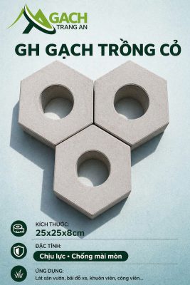 GẠCH TRỒNG CỎ LỤC GIÁC