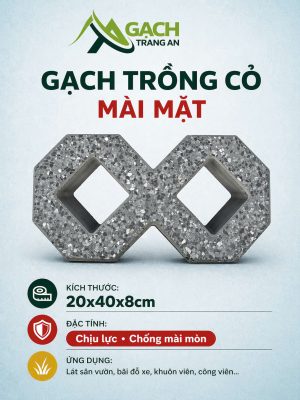 GẠCH TRỒNG CỎ MÀI MẶT