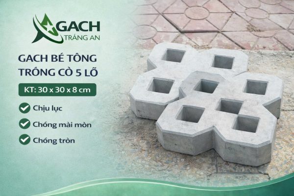GẠCH TRỒNG CỎ 5 LỖ