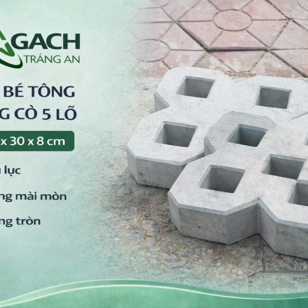 GẠCH TRỒNG CỎ 5 LỖ
