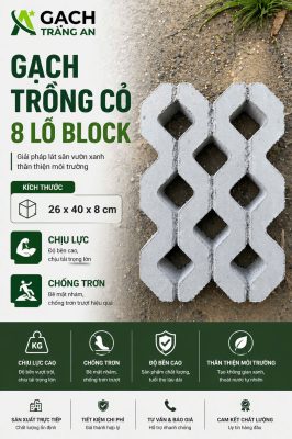 GẠCH TRỒNG CỎ BOCLK 8 LỖ